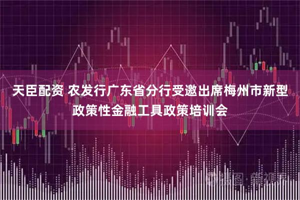天臣配资 农发行广东省分行受邀出席梅州市新型政策性金融工具政策培训会