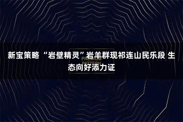 新宝策略 “岩壁精灵”岩羊群现祁连山民乐段 生态向好添力证