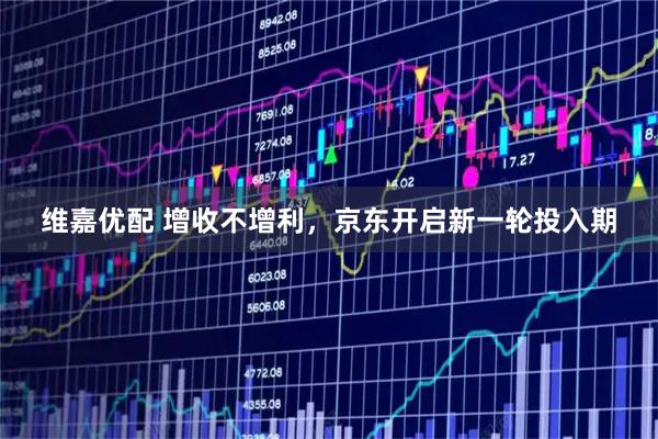 维嘉优配 增收不增利，京东开启新一轮投入期