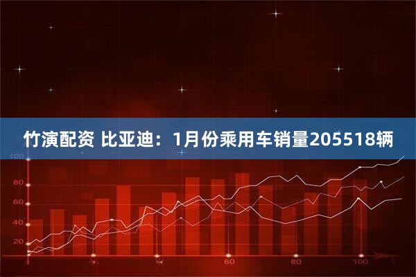 竹演配资 比亚迪：1月份乘用车销量205518辆